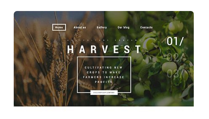 高端91香蕉APP下载安装下载免费公司